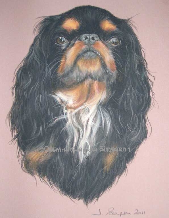 King Charles Spaniel pet portrait by Joanne Simpson