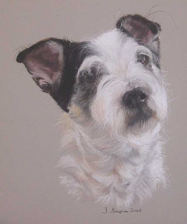 Jack Russell pet portrait by Joanne Simpson